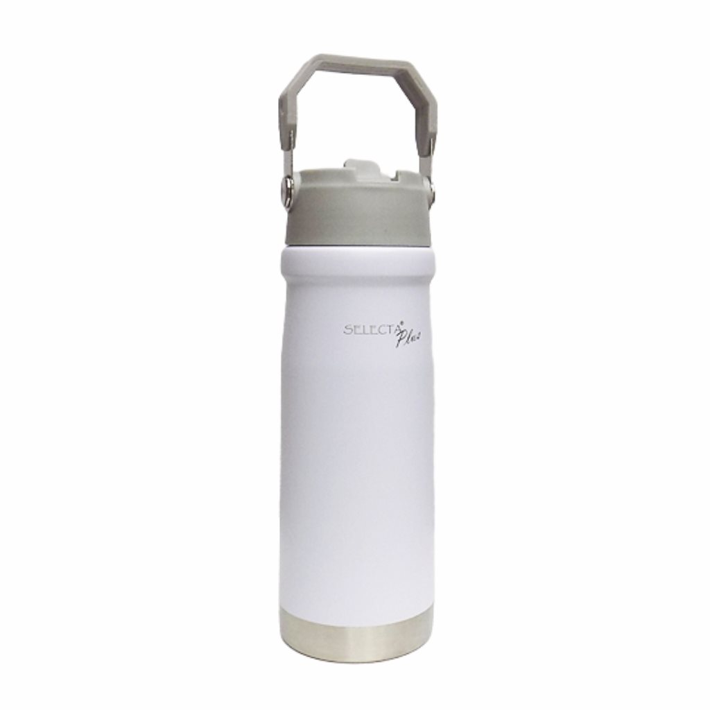 BOTELLA TERMICA 650ML DOBLE PARED